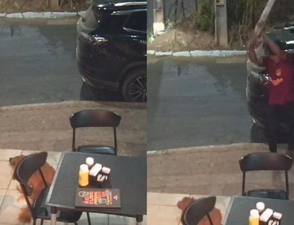 Caso de maus-tratos a cachorro termina em prisão em Juazeiro do Norte